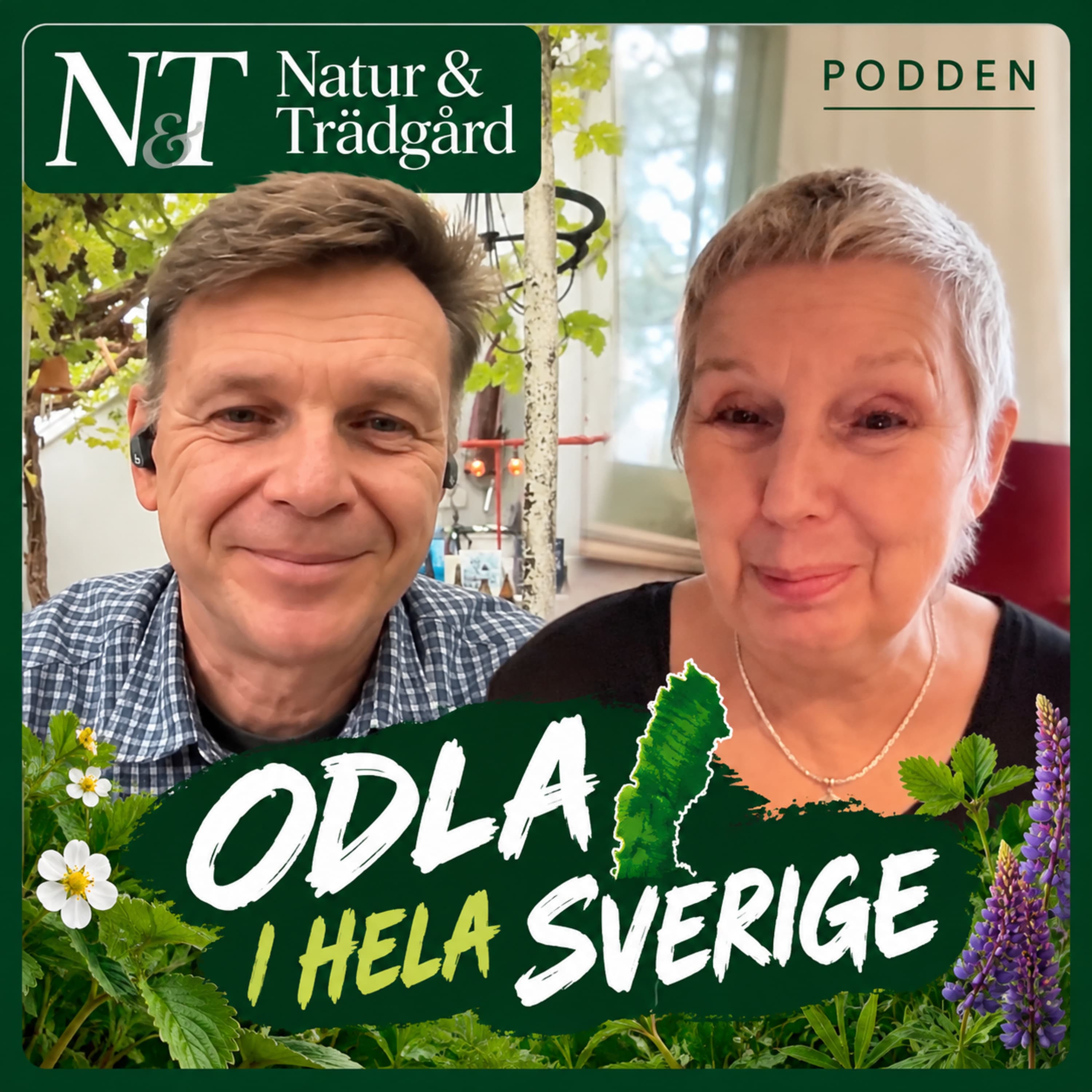 Omslag till poddavsnittet "Mycket går att odla – även i norr"