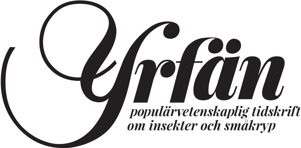 Porträtt av Yrfän