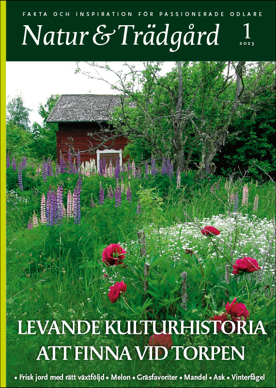 Omslag nr 1 2023