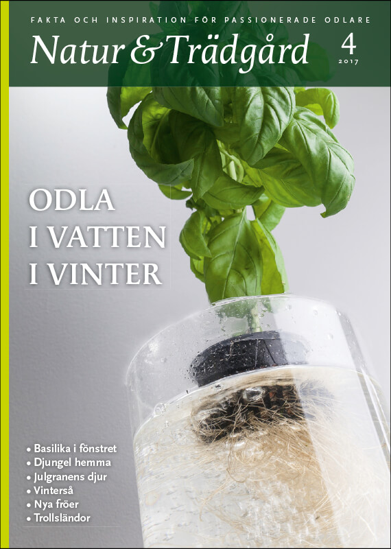 Omslag nr 4 2017