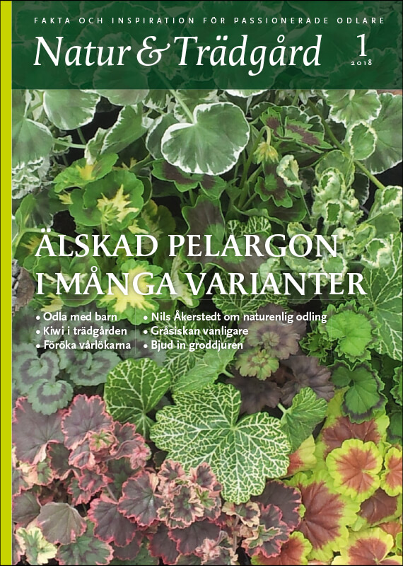 Omslag nr 1 2018