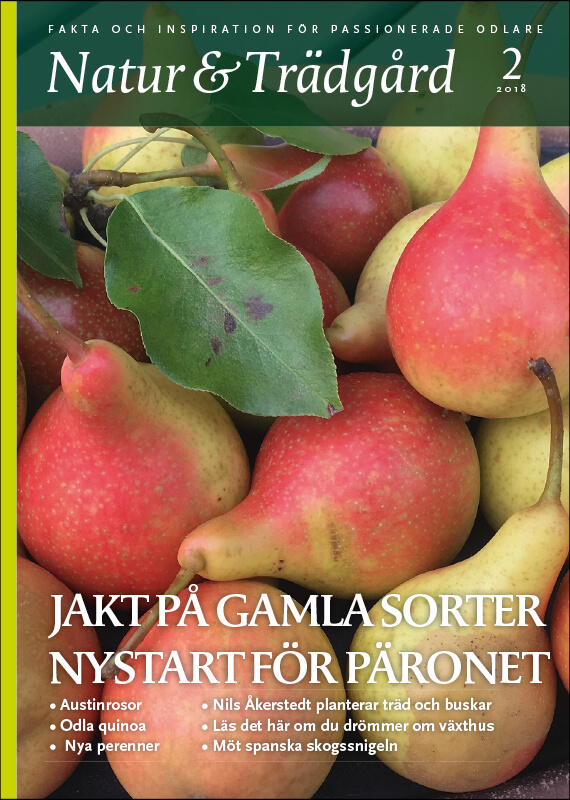 Omslag nr 2 2018
