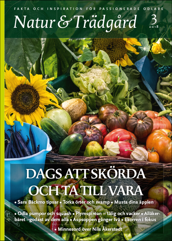 Omslag nr 3 2018