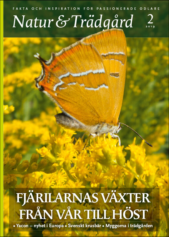 Omslag nr 2 2019