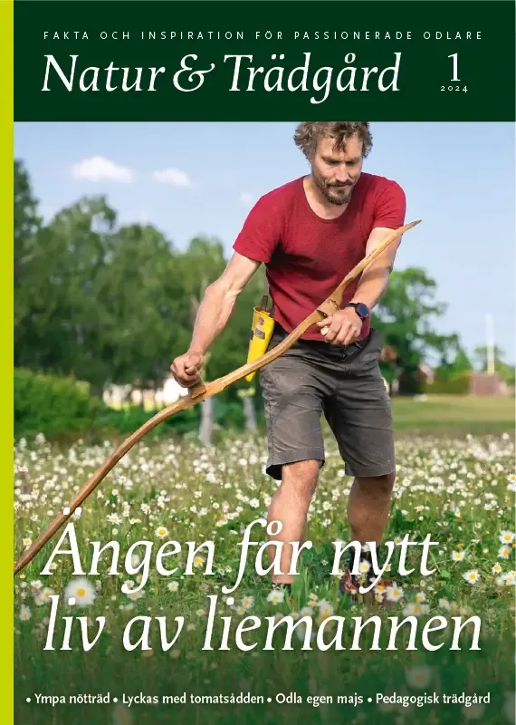 Omslag nr 1 2024