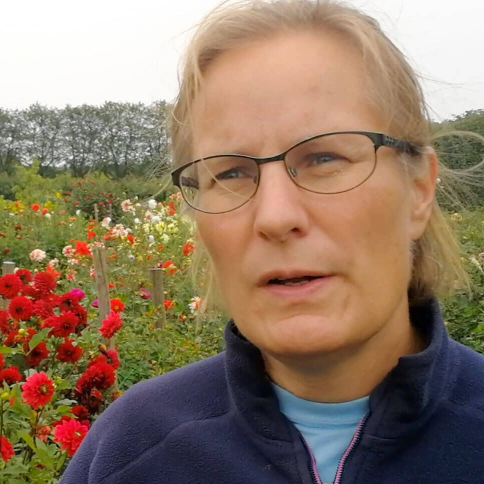 Porträtt av Karin Persson