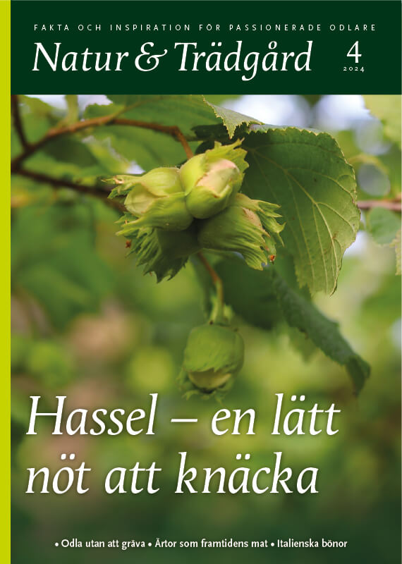 Omslag nr 4 2024