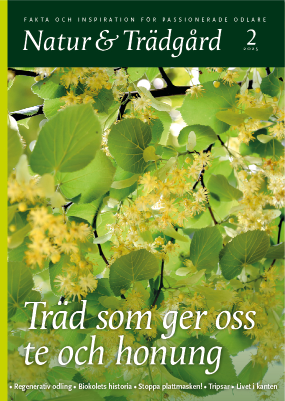 Omslag nr 2 2025