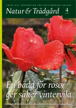 Natur & Trädgård nr 4 – 2025